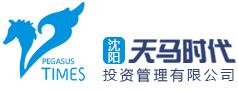 天马时代投资